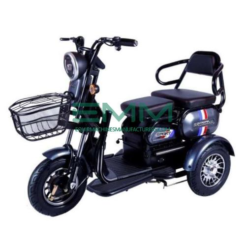 Electric Recreational Vehicles
