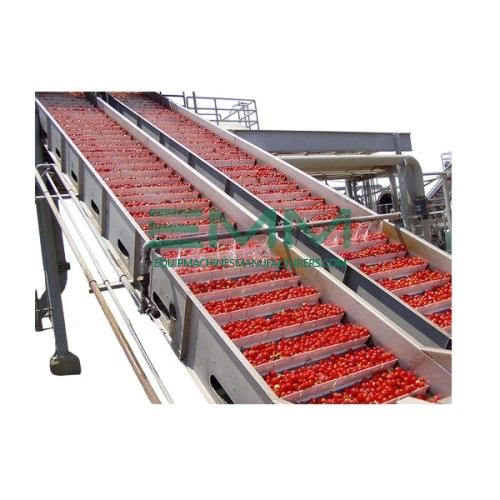Tomato Processing Machine