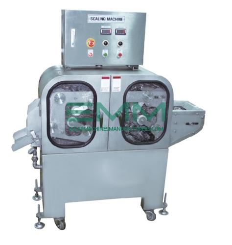 Universal Scale Removal Machine